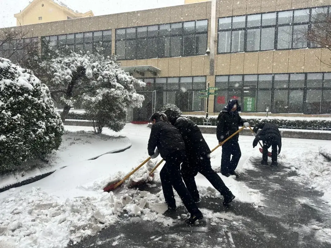 Šilta srovė šaltoje bangoje